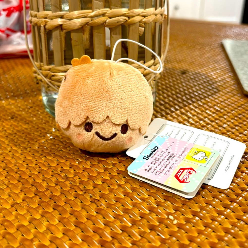 This is a plush I acquired from Japan in a Sanrio friends shop!
